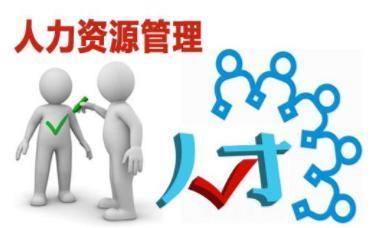 文科530分報考人力資源管理專業指南與人力資源信息咨詢